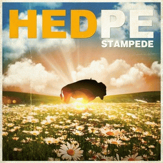 Hed PE : STAMPEDE